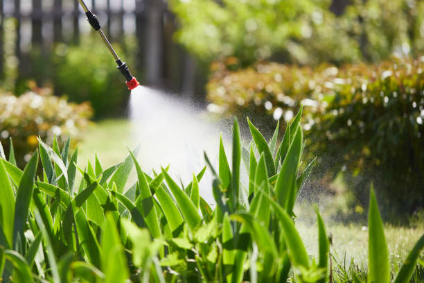 24/7 Emergency Mosquito Control experts in Little Round Lake, WI