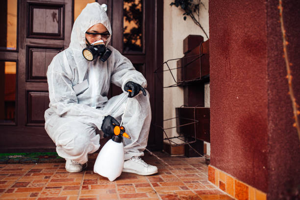 Reliable Mosquito Control contractor in Little Round Lake, WI by Show Me Pest Control